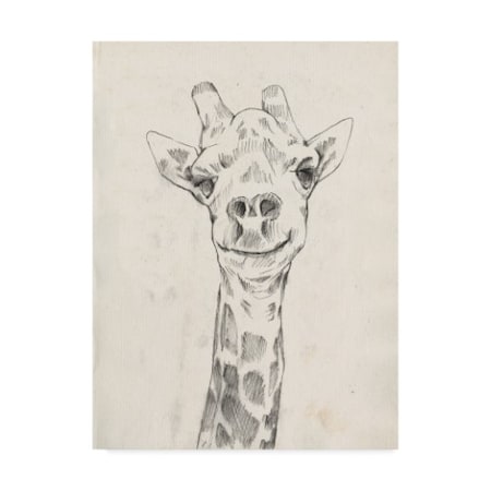 Jennifer Goldberger 'Giraffe Portrait I' Canvas Art,24x32